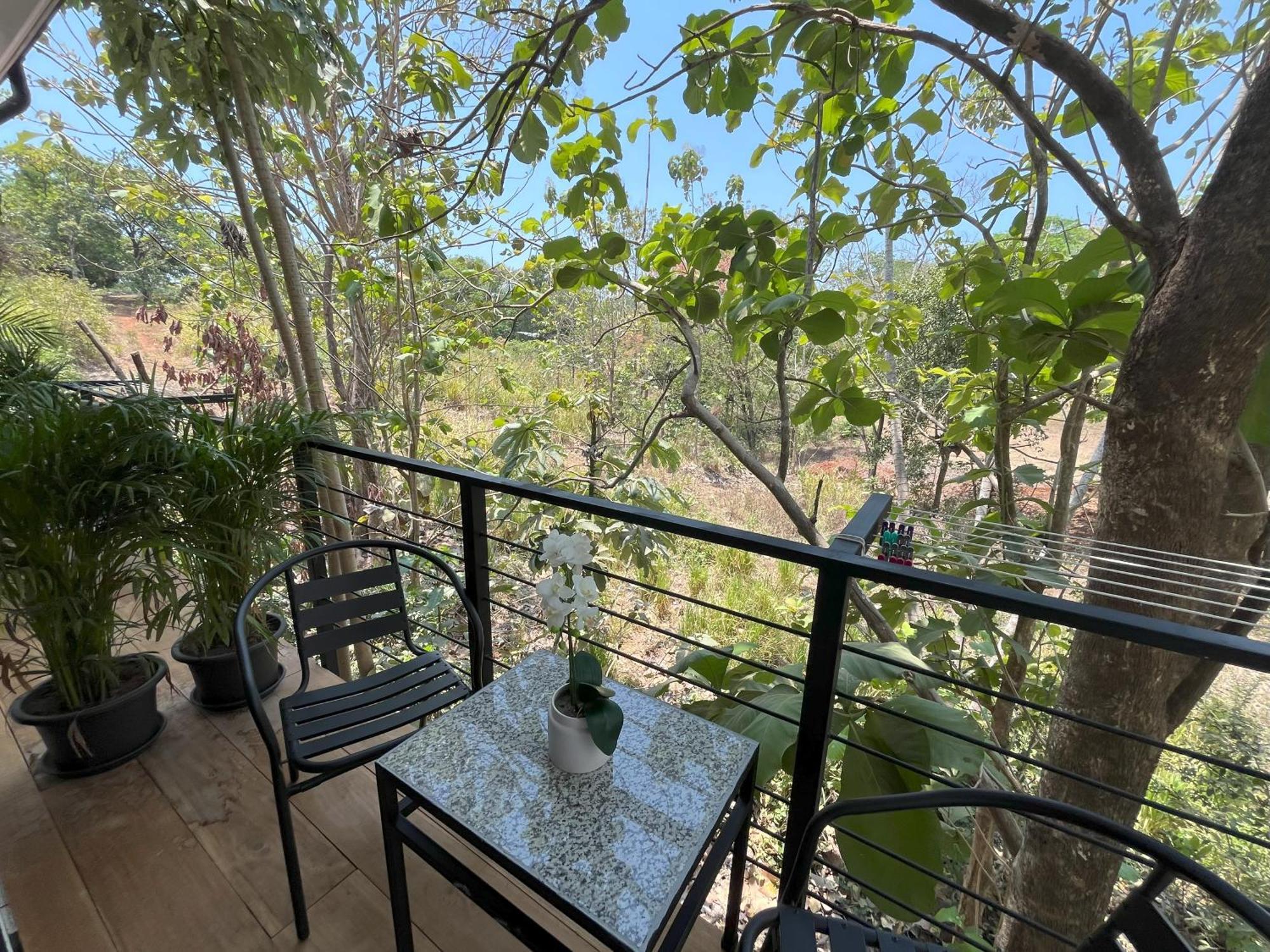 La Jungla Bed & Breakfast Puerto Carrillo Dış mekan fotoğraf